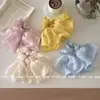 Saia de fio pêndulo ~ anel de cabelo de tripas grossas branco super fada feminino francês de alta qualidade acessório de cabelo versátil corda de cabelo grande para cabelo