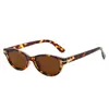 Nuevas Gafas de Sol Marrones Ojo de Gato de Marco Pequeño 2026 para Mujer, Estilo de Moda Europeo y Americano de Alta Gama, Gafas de Sol Polarizadas que Cambian de Color para Hombre, Uso para Conducir