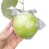Bolsas Protectoras para Frutas y Verduras, Bolsas Transparentes de Polietileno para Dátiles de Invierno y Dátiles Verdes