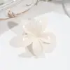 Grampos de Cabelo Florais Frescos e Doces Mais Vendidos Transfronteiriços Estilo Festivo Frangipani Moda Versátil Acessórios de Cabelo Atacado