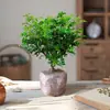 Madera Aromática Maceta Tocón Viejo de Pimienta Plantones Repelente de Mosquitos e Insectos para Interiores Planta de Escritorio Perenne Planta Verde para Todas las Estaciones
