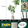 Habitat de folha de glicínia planta verde artificial alto padrão luxo leve interior sala de estar chão árvore falsa biônica planta em vaso