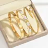 Elegante y Sencillo Popular Europeo y Americano Francés Elegante Ins Moda Corazón Circonita Set de Pulseras Elegante Pulsera de Acero de Titanio