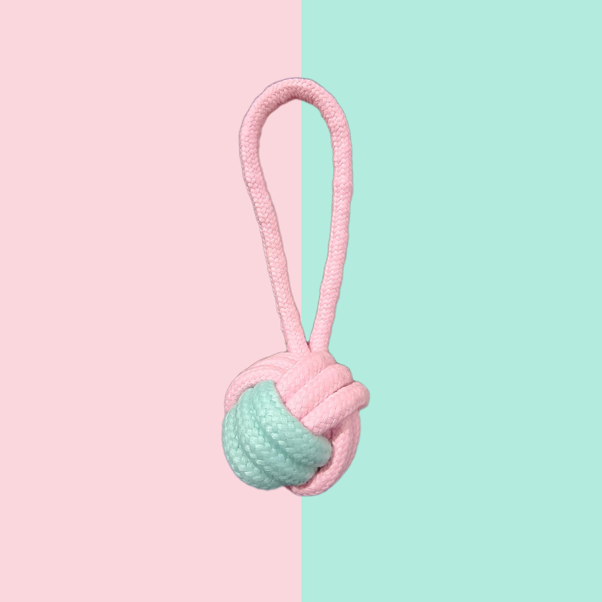 粉蓝单耳球