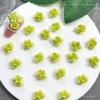 Nueva joyería de cerámica suave verde con camelia para decoración de uñas, mezclada con rosa teñida verde, material para decoración de uñas, joyería de flores suaves.