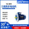 Serie completa Y2/YE2 380V motor asíncrono trifásico de ahorro de energía soporte de bomba de agua motor de carcasa de aluminio suministro