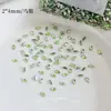 Pedras de Strass Irregulares para Unhas Zircônia Verde Fruta Chanfrada Celeb da Internet Super Brilhantes Verde Claro Fresco Mini Base Plana
