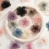Flor de organza simulada de 5.5 cm con 5 pétalos y tela brillante, accesorio DIY para tocados, ropa, zapatos, sombreros, accesorios para el cabello y decoración de corsage