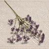 Flor Artificial Galho de Fruto de Erva-Doce com Múltiplos Ramos Flor Falsa Pastoral Flor de Plástico Exibição Doméstica Casamento Decoração Suave Flor Mais Vendida