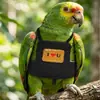 Ropa y correa para loro, arnés para caminar y volar de pájaro, traje de vuelo para cacatúa, periquito, agaporni