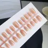 Nude pequeno gordo Ding largo olho de gato claro olho de gato delicado pó olho de gato armadura de unha usada na mão fornecimento direto da fábrica unha especial