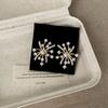 Aretes de Fuegos Artificiales de Perla de Zircón Super Brillantes para Mujer, Lujo Accesible, Gama Alta, Únicos, Exquisitos, Modernos y de Moda