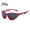 Gafas de sol universales de moda de lujo con forma de ojo de gato, de alta gama 2024, las mismas que usan las celebridades de Internet transfronterizas, versátiles, nuevas gafas de sol