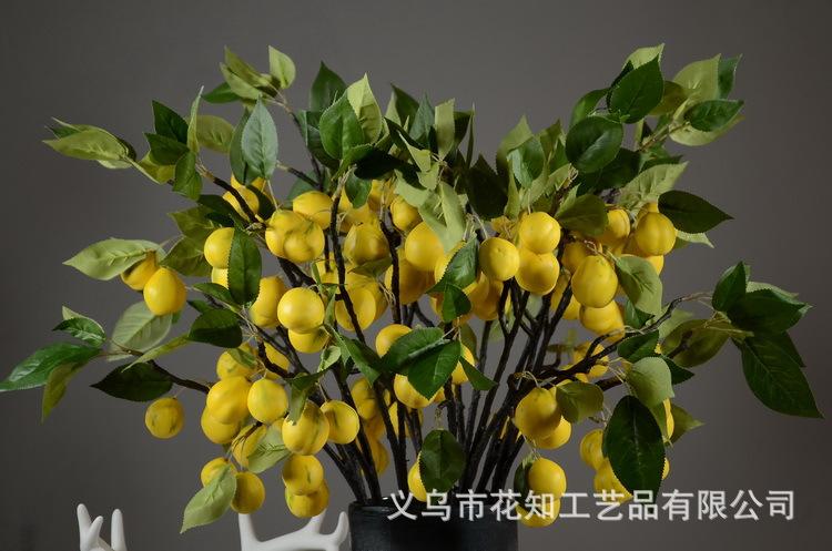 2-2黄色欧罗梨子.JPG