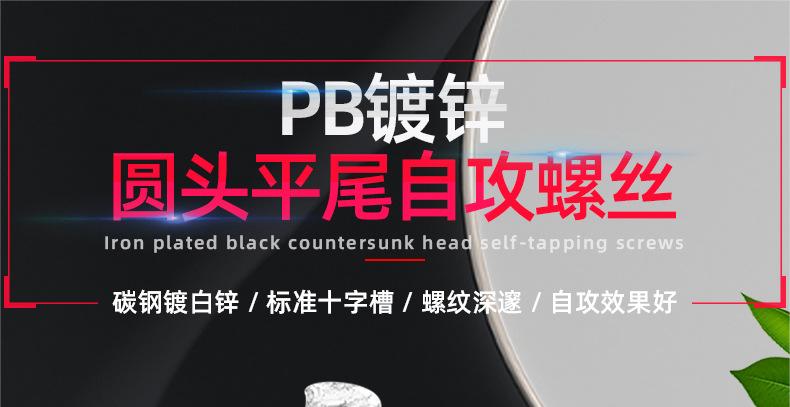 镀锌PB十字圆头平尾自攻螺丝_01_01.jpg