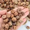 Calabaza Naranja Pequeña, Fruto de Planta de Calabaza Pequeña, Accesorios Hechos a Mano para Manualidades, Materiales de Decoración con Flores Secas, Estilo Bosque Vintage