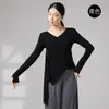 Roupas de Dança Moderna Femininas Patchwork de Malha Fluida para Treinamento de Figura Adulto Roupas de Dança Clássica Chinesa Top