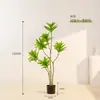 Estilo Nórdico Nuevo Ins Plantas Verdes Lirio Bambú Piso Plantas Grandes Decoración Interior Adornos Plantas en Maceta
