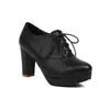 Zapatos de plataforma de encaje para mujer de primavera y otoño, tacón alto, comercio exterior transfronterizo, zapatos de talla grande 1181