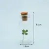 Japonês e Coreano Mais Vendidos Fresco e Doce Garrafa de Vidro de Garrafa de Deriva Trevo de Quatro Folhas Dente-de-Leão Flor Real Flor Seca Colar Modelo de Melhor Amiga