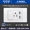 Panel de interruptores Tipo-C Estándar de EE. UU. con Salida de Alimentación de Pared USB, Panel Blanco Estilo Americano, Enchufe de 20W para Uso Doméstico