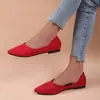 Zapatos de vestir de punta fina para mujer, talla grande, para comercio exterior, moda primavera y otoño, nuevos zapatos casuales planos de suela blanda, versátiles, al por mayor
