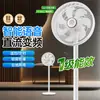 Ventilador Elétrico Rongsheng, de Chão, para Uso Doméstico, Modelos de 16 polegadas para Dormitório, Grande Fluxo de Ar, Oscilante, Potente, Silencioso, Ventilador Economizador de Energia