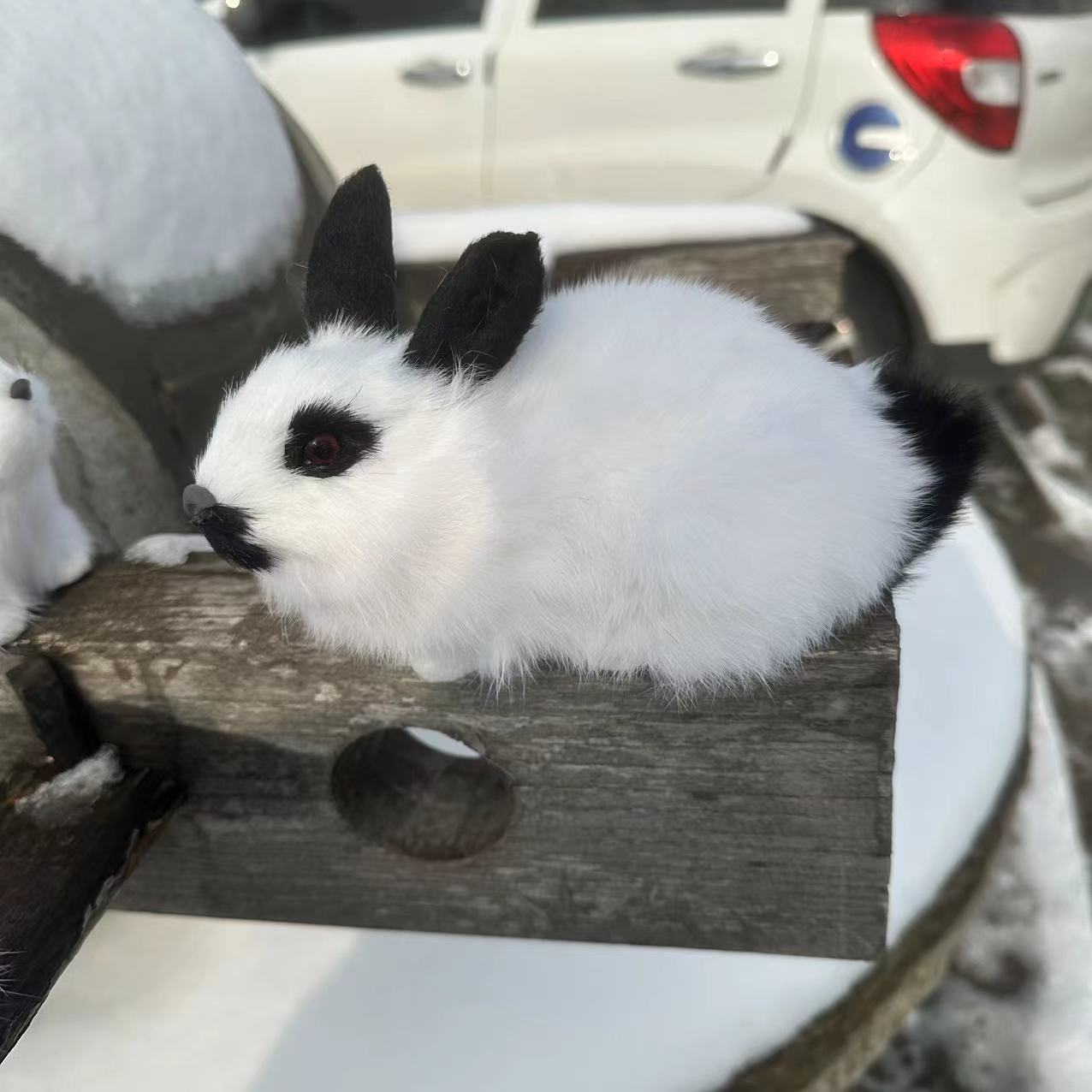 微信图片_202312121359162