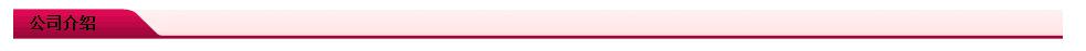 公司介绍