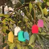 Etiquetas colgantes de plástico de colores para plantas, marca floral de PVC, etiquetas para jardinería de flores, etiquetas colgantes pequeñas, etiquetas para plántulas, etiquetas para suculentas