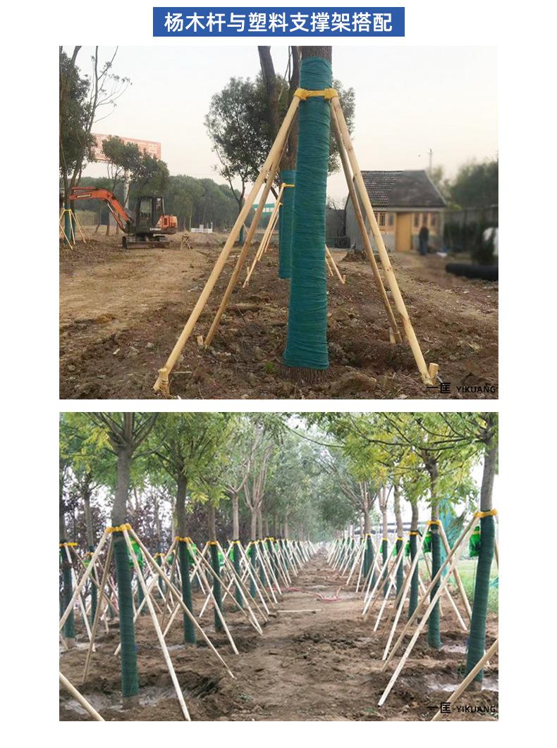 树木支撑架