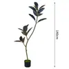 Planta Artificial Verde Diamante Negro Decoração de Sala de Estar de Alto Padrão Enfeites de Chão Árvore Falsa Grande para Interior Planta Biônica