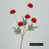 5 Cabezas de Flor de Cebolla Artificiales, Tallo Único, Decoración para el Hogar, Hotel de Bodas, Salón de Bodas, Decoración de Diente de León, Flores Artificiales al por Mayor