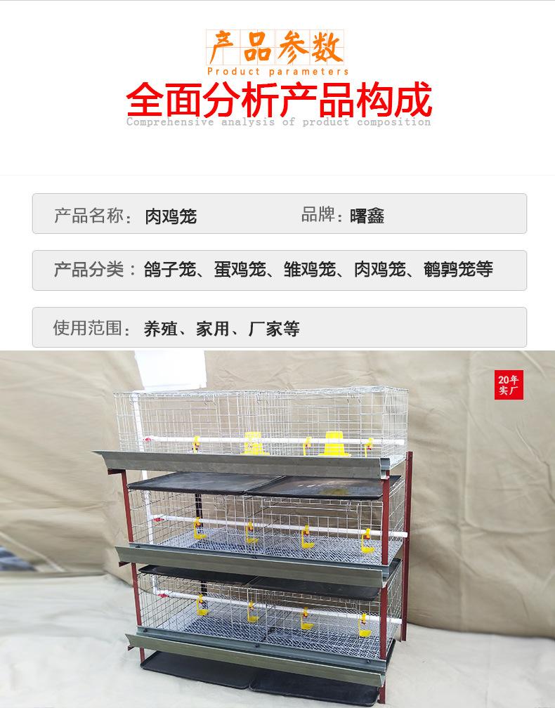 肉鸡笼_08.jpg