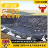 Geomembrana para lagoas de lixiviação de mineração, membrana impermeabilizante de superfície dupla lisa preta para aterro de cinzas volantes, geomembrana para tanques de reação química