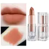 Labial Transfronterizo Labial de Cristal Sin Logo Tubo Cuadrado Transparente Cubito de Hielo Pequeño Mate Sedoso Mate Labial de Comercio Exterior
