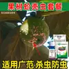 Paquete de Control de Insectos para Suculentas, Árboles de Dinero, Flores y Plantas Verdes: Mosca Blanca, Ácaros Rojos, Pulgones y Control General de Insectos