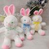 Nuevo puesto de muñecas peluche tamaño pequeño lanzamiento de boda muñeca de nueve pulgadas muñeca de ocho pulgadas máquina de garras Muñeca Muñeca