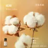 Líquido de Relleno de Aceite Esencial de Plantas de Aromaterapia de 15 ml para Difusor de Piedra de Yeso, Adornos Aromáticos, Especializado para Uso en Interiores, Fragancia de Alta Gama y Larga Duración