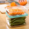 Sanada caixa para conservar alimentos japoneses caixa de armazenamento selada para cozinha caixa de armazenamento portátil com refrigerador