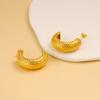Pendientes Minimalistas Europeos y Americanos en Forma de C con Textura de Escamas de Pescado de Acero Inoxidable Moda Personalizados Versátiles Pendientes de Oro de 18 Quilates Pendientes