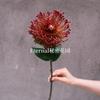 Vermelho vinho popular material de flor de simulação Eucalipto Hortênsia palma vermelha rosa vermelha com salão de casamento estrada atacado