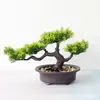 Ornamento de bonsai de pinho bem-vindo novo plantio de simulação chinês bonsai decorações de varanda de casa sala modelo de hotel