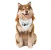 Bufanda Triángulo para Mascota Estampado de Huella de Amor Gato y Perro Bufanda para Babas de Mascota Venta Caliente Transfronteriza Bufanda Vestido para Mascota