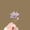 Broche de Magnolia Elegante Exquisito Estilo Nacional Nueva Moda Elegante Pin de Flor Retro Bandera Hanfu Corsage Accesorios