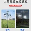 Luz de Jardín Solar Antigua Impermeable para Exterior Nueva Luz de Jardín Chino Luz de Paisaje Parque Comunitario Luz de Doble Cabezal LED