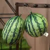 Almofada de Pelúcia Fruta Esférica Tridimensional Melancia Grande Brinquedo de Pelúcia Boneca de Verão Boneca de Pano Presente para Crianças