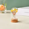 Árbol del Dinero de Grava de Cristal Natural Cubierta de Polvo de Vidrio Árbol de Cristal Hecho a Mano Creativo Árbol de la Vida de Cristal Decoración para el Hogar