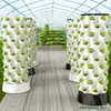 Sistema de Cultivo Sin Suelo de Piña Invernadero Instalación de Frutas y Verduras Modelo Torre Aeromist Cultivo en Niebla Tridimensional