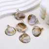 Acrílico Dos Colores Doble Agujero Serie Marina Chapado en Oro Concha Estrella de Mar Collar para Teléfono Móvil DIY Accesorios para Joyería de Cuentas Sueltas